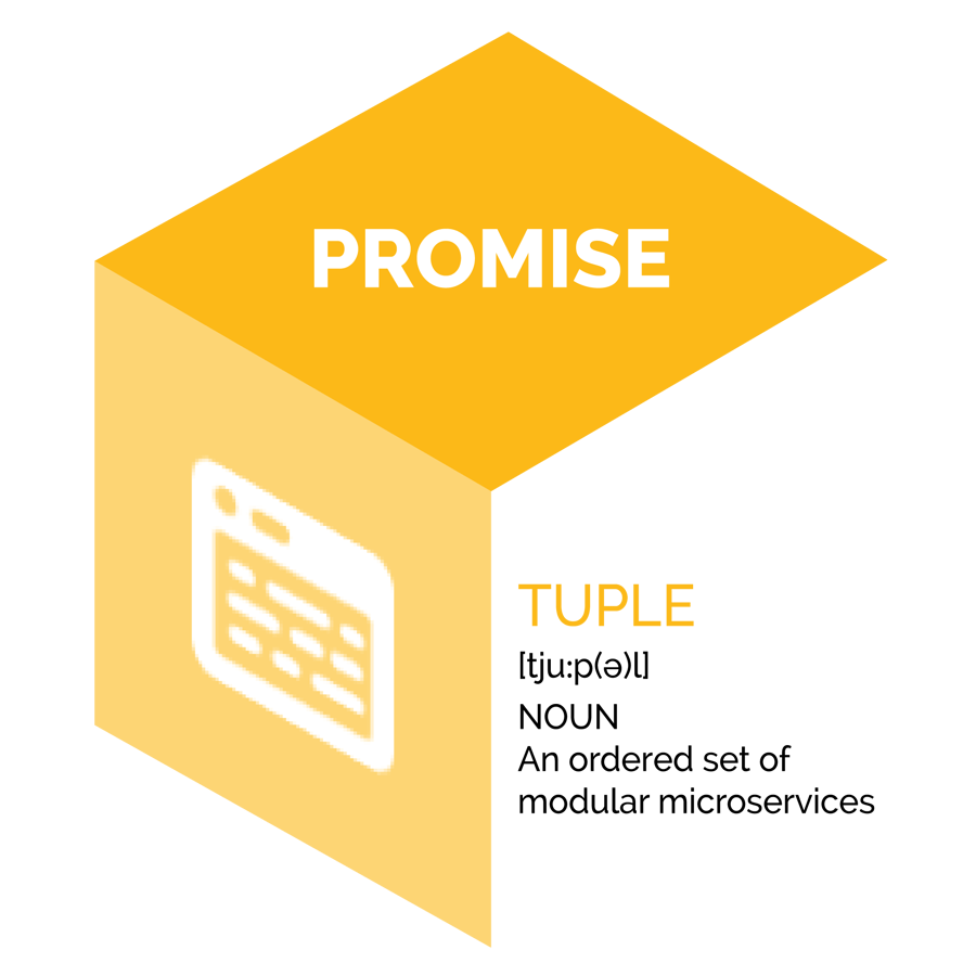 promise tuple image definition modular-01
